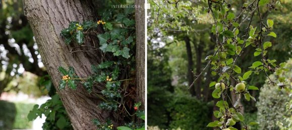 5 bedrooms Villa in Yerres, France No. 181553 13