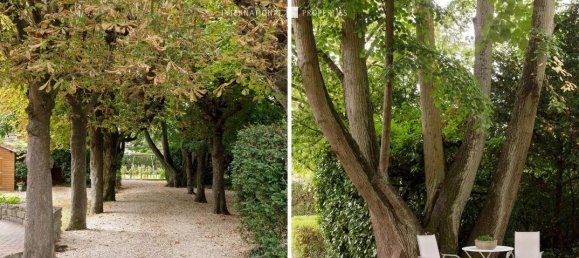 5 bedrooms Villa in Yerres, France No. 181553 4