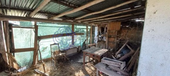 1650m² Land in Tomar, Portugal No. 79613 6