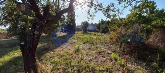 1650m² Land in Tomar, Portugal No. 79613 4