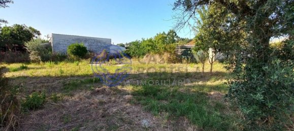 1650m² Land in Tomar, Portugal No. 79613 3
