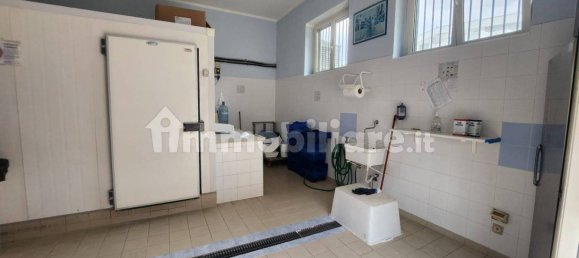 2غرفة عقار تجاري في Campomarino, Italy رقم 138464 8