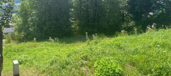  Land in Wernberg, Austria No. 51523 5