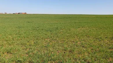 Terreno em Gilgenberg am Weilhart, Austria N.º 163305