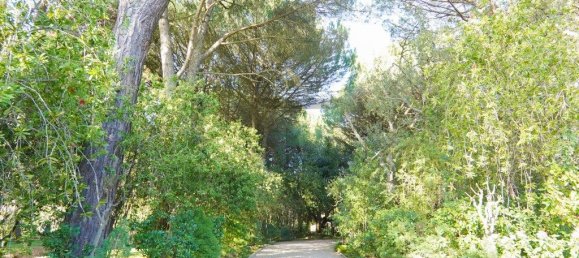 5 Schlafzimmer Haus in Benavente, Portugal, Nr. 315503 45