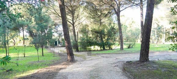 5 Schlafzimmer Haus in Benavente, Portugal, Nr. 315503 11