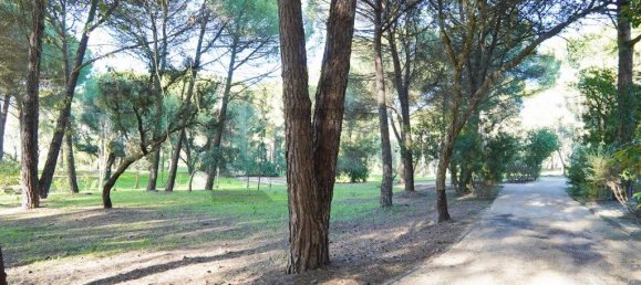 5 Schlafzimmer Haus in Benavente, Portugal, Nr. 315503 8