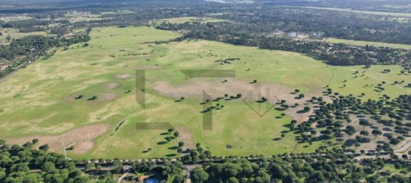 5 Schlafzimmer Haus in Benavente, Portugal, Nr. 315503 33