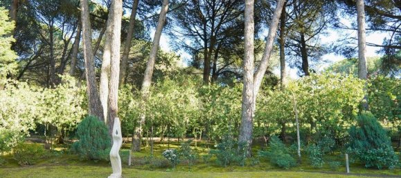 5 Schlafzimmer Haus in Benavente, Portugal, Nr. 315503 2