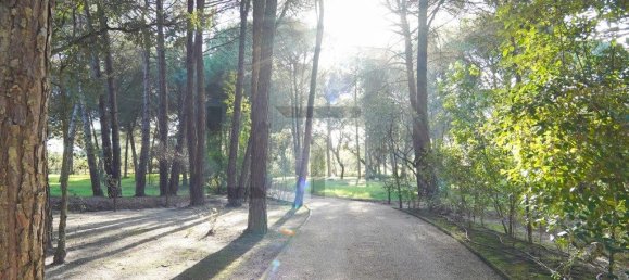 5 Schlafzimmer Haus in Benavente, Portugal, Nr. 315503 9