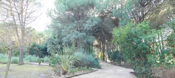 5 Schlafzimmer Haus in Benavente, Portugal, Nr. 315503 14