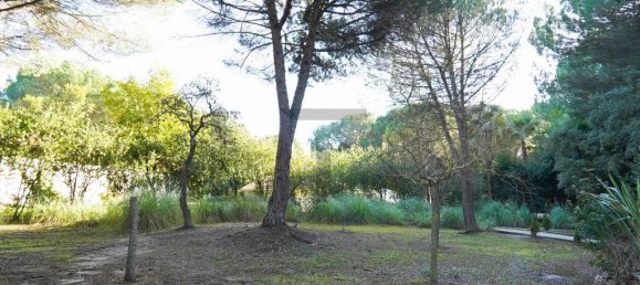 5 Schlafzimmer Haus in Benavente, Portugal, Nr. 315503 13