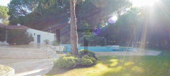 5 Schlafzimmer Haus in Benavente, Portugal, Nr. 315503 5