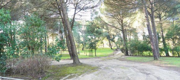 5 Schlafzimmer Haus in Benavente, Portugal, Nr. 315503 15