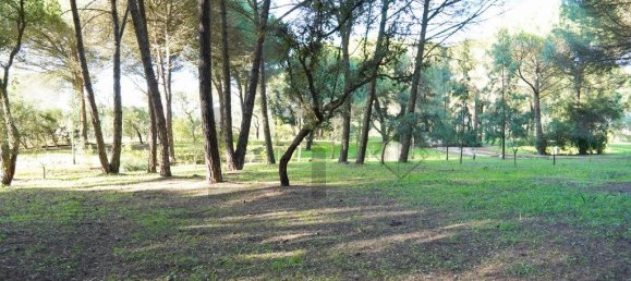 5 Schlafzimmer Haus in Benavente, Portugal, Nr. 315503 10