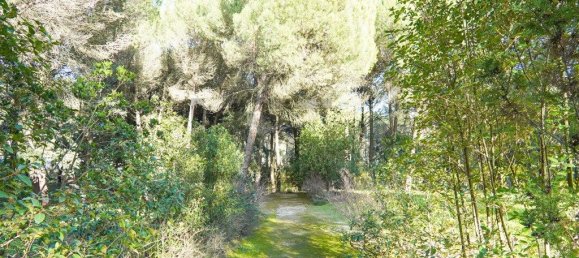 5 Schlafzimmer Haus in Benavente, Portugal, Nr. 315503 17