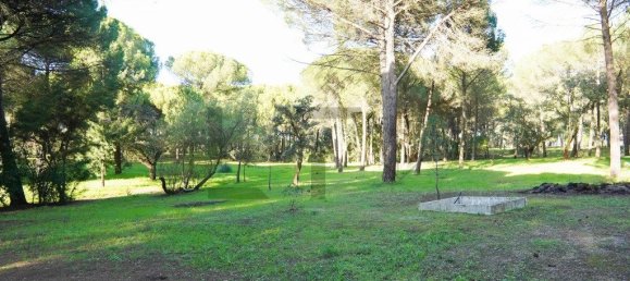 5 Schlafzimmer Haus in Benavente, Portugal, Nr. 315503 12