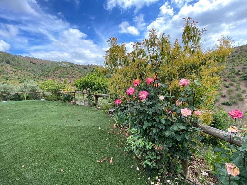 3 غرف نوم منزل في Colmenar, Spain رقم 178333