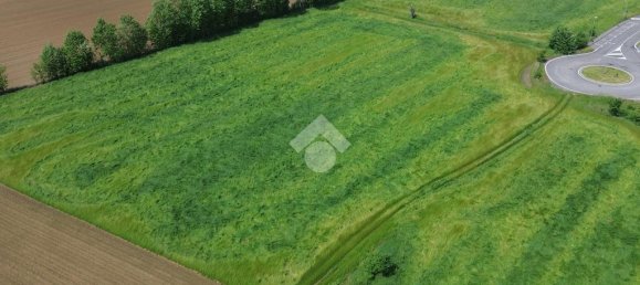 1-Zimmer Lagerhaus in Pozzolengo, Italy, Nr. 314476 3