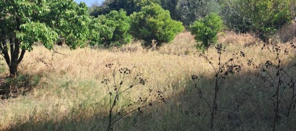 3 غرف نوم منزل في Sardinia, Italy رقم 334346 5