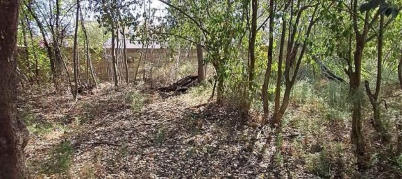 3 غرف نوم منزل في Sardinia, Italy رقم 334346 4