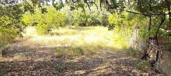 3 غرف نوم منزل في Sardinia, Italy رقم 334346 8