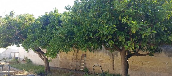 3 bedrooms House in Vernole, Italy No. 381743 13