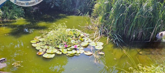 Villa T5 em Laa an der Thaya, Austria N.º 217598 23