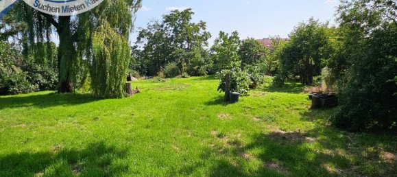 Villa T5 em Laa an der Thaya, Austria N.º 217598 22