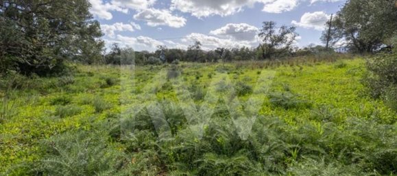 2000m² Land in Almancil, Portugal No. 136004 26