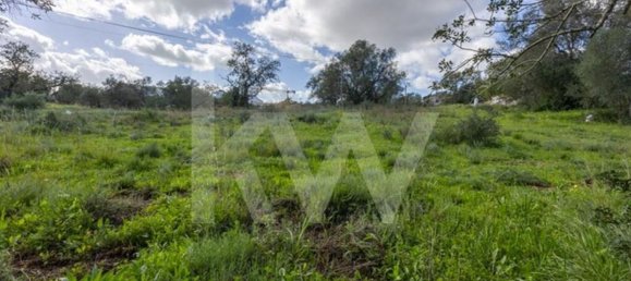 2000m² Land in Almancil, Portugal No. 136004 25