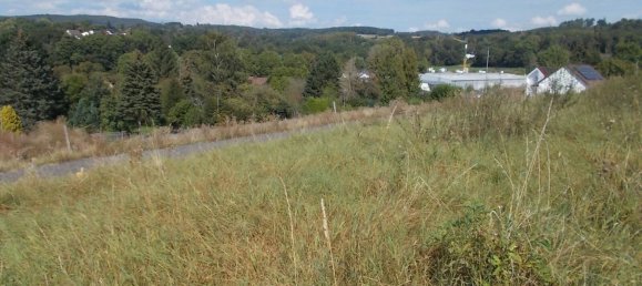 Grundstück in Wetteraukreis, Germany, Nr. 60077 5