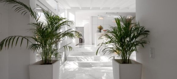 5 bedrooms House in Cascais, Portugal No. 111940 23