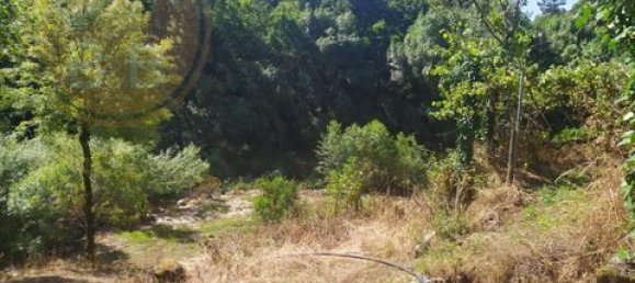 2 Schlafzimmer Grundstück in Cabeceiras de Basto, Portugal, Nr. 149127 10