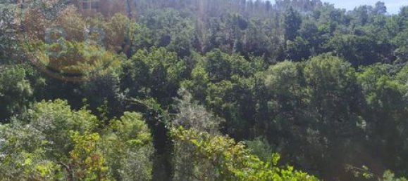 2 Schlafzimmer Grundstück in Cabeceiras de Basto, Portugal, Nr. 149127 13