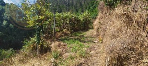 2 Schlafzimmer Grundstück in Cabeceiras de Basto, Portugal, Nr. 149127 19