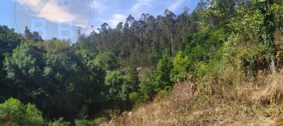 2 Schlafzimmer Grundstück in Cabeceiras de Basto, Portugal, Nr. 149127 20