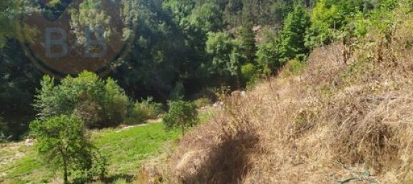 2 Schlafzimmer Grundstück in Cabeceiras de Basto, Portugal, Nr. 149127 11