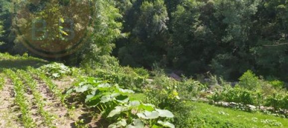 2 Schlafzimmer Grundstück in Cabeceiras de Basto, Portugal, Nr. 149127 24