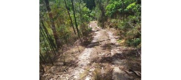 2 Schlafzimmer Grundstück in Cabeceiras de Basto, Portugal, Nr. 149127 21