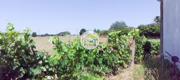 260m² Warehouse in Santa Comba Dao, Portugal No. 63723 22