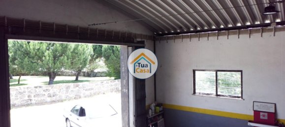 260m² Warehouse in Santa Comba Dao, Portugal No. 63723 19