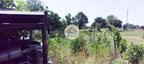 260m² Warehouse in Santa Comba Dao, Portugal No. 63723 23