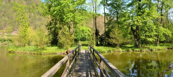 4 rooms Bungalow in Seebenstein, Austria No. 199467 26