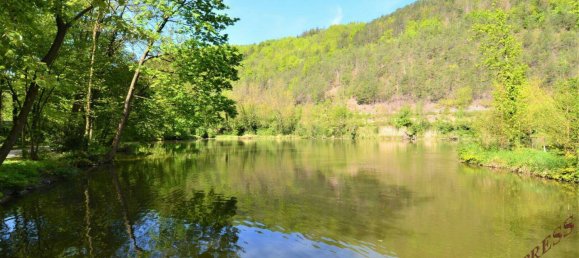 4 rooms Bungalow in Seebenstein, Austria No. 199467 25