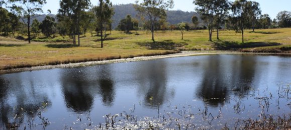 Granja de 2 dormitorios en Gunalda, Australia No. 710 6