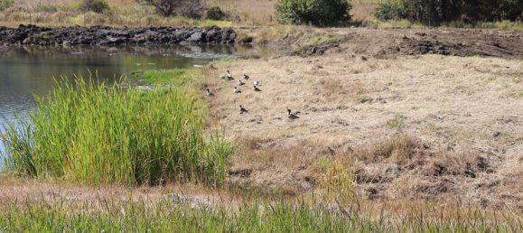 Granja de 2 dormitorios en Gunalda, Australia No. 710 9