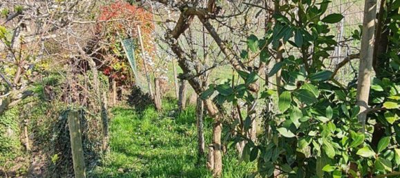 5 rooms Villa in Golferenzo, Italy No. 95734 7