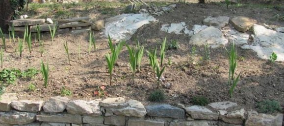 5 rooms Villa in Golferenzo, Italy No. 95734 12