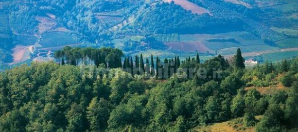 2 bedrooms Apartment in Brisighella, Italy No. 299127 20